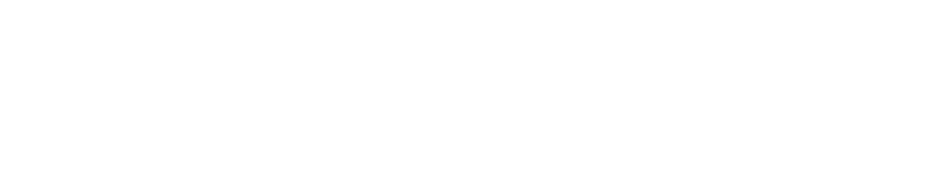 Saleconix